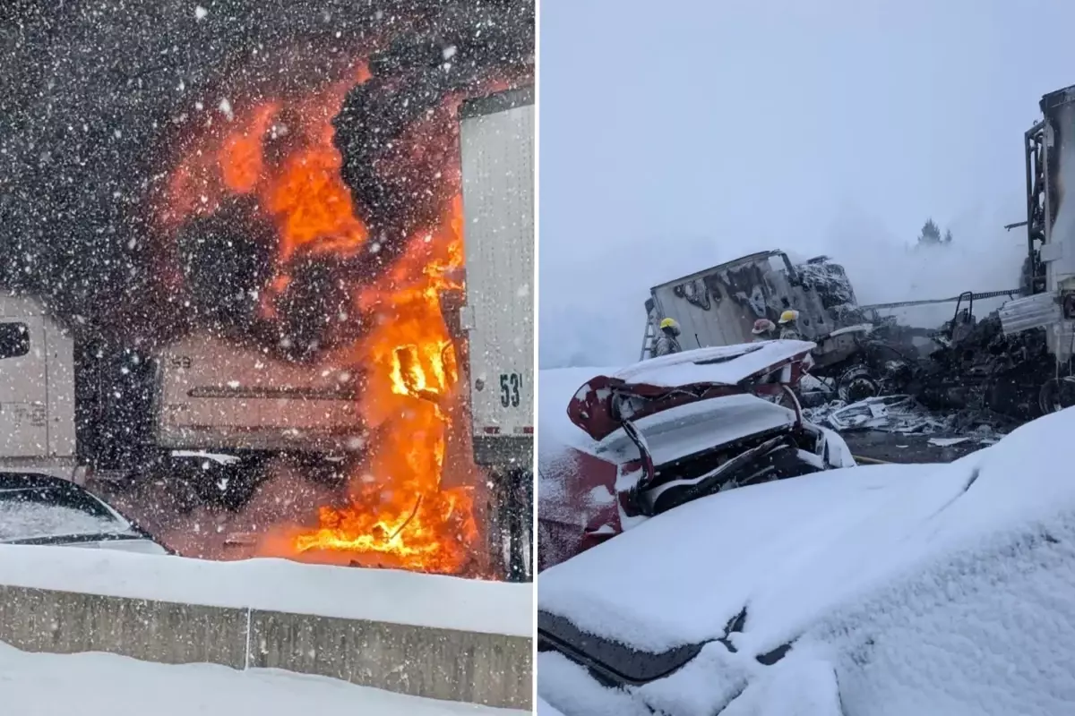 Türk tır sürücüsü Kanada'da kahraman ilan edildir 
