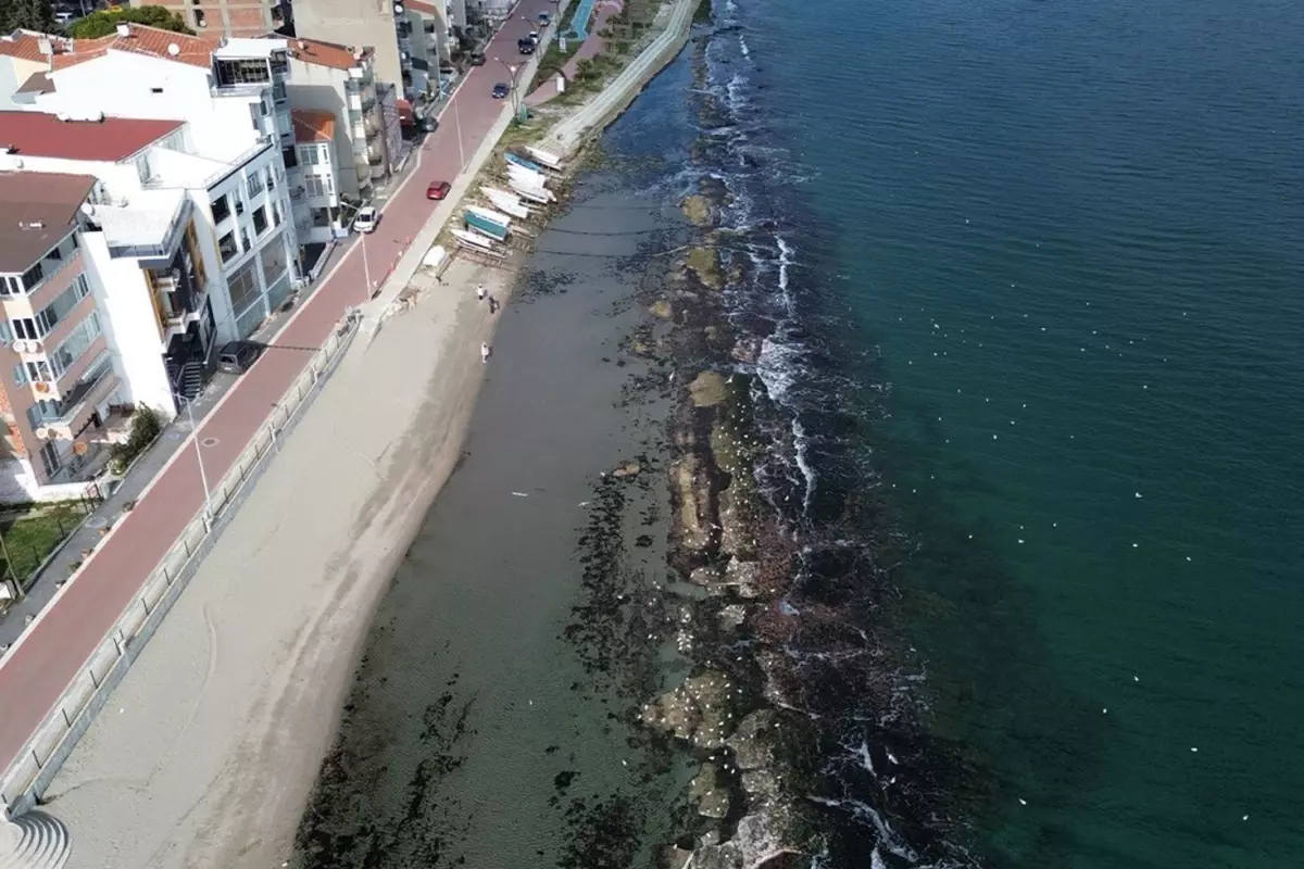 Deniz 10 metre çekildi, tarihi Kral Yolu yüzyıllar sonra ortaya çıktı